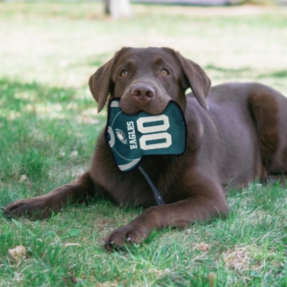Pets First NFL Philadelphia Eagles Jersey Tough Squeaker Dog Toy NWOT